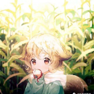 等田曦薇的收官文